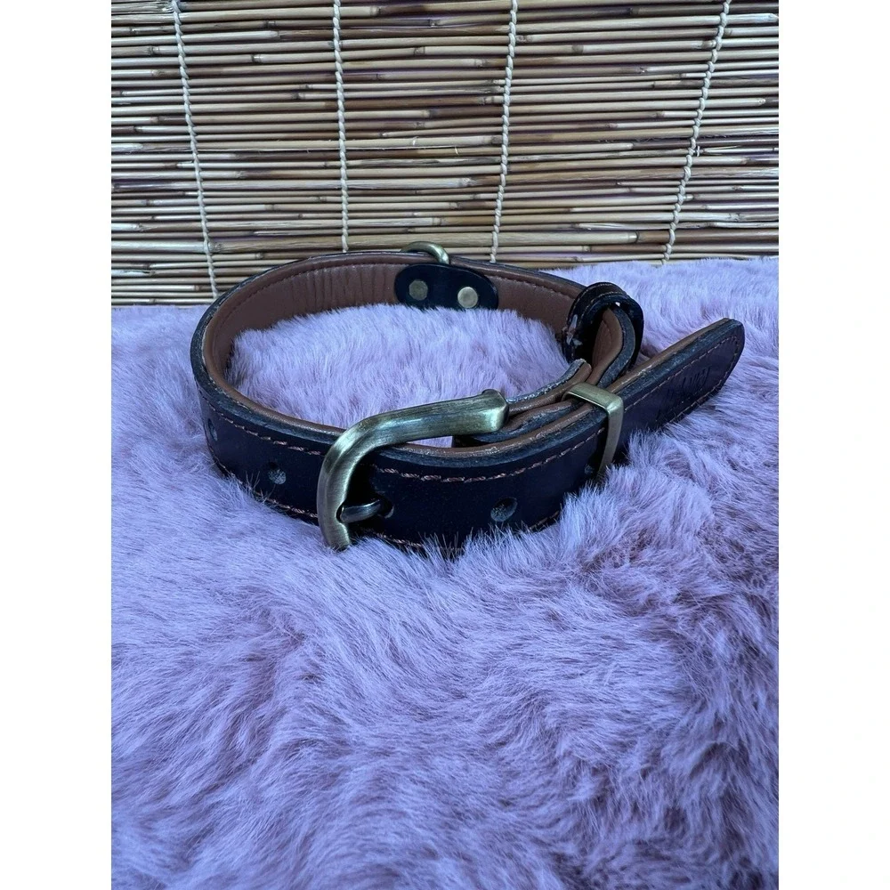 Dog Collar For Medium Dogs, Classic Adjustable With Brass Metal Buckle 13.38-19